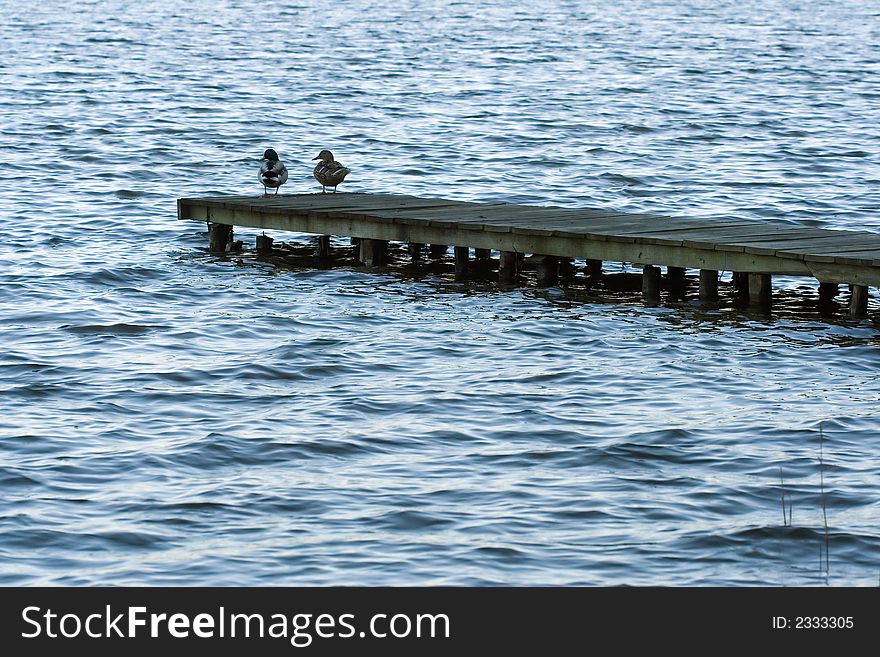 Dock on a lake with ducks