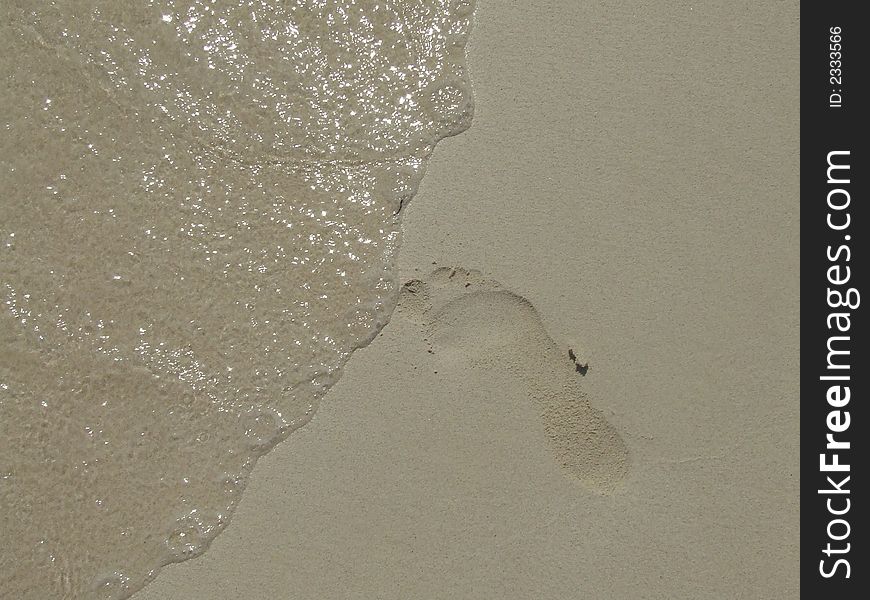 Footprint in the sand, by the water on a beach
