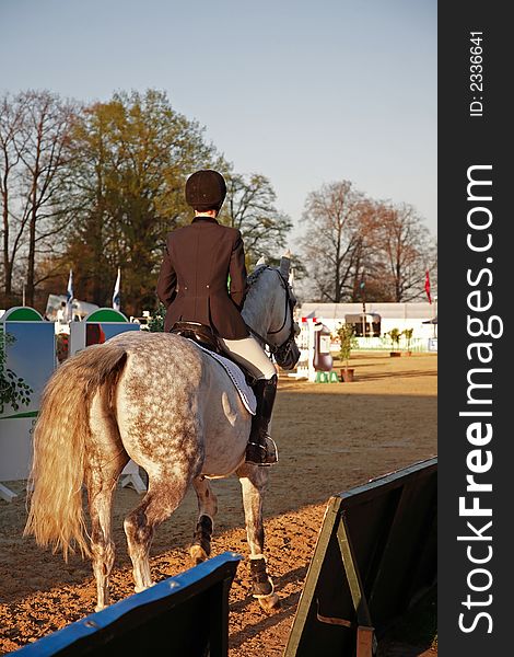 Girl on a grey showjumping horse. Girl on a grey showjumping horse