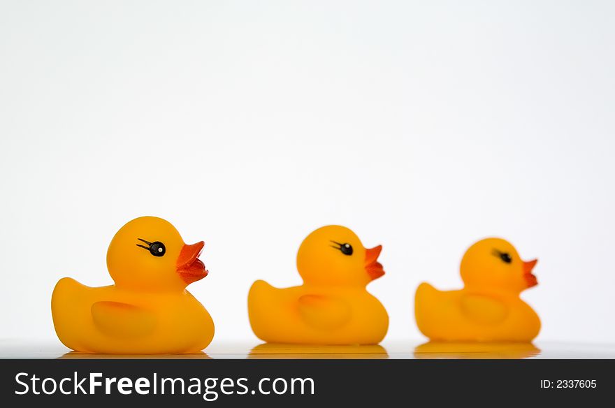 Three yellow ducklings on white background