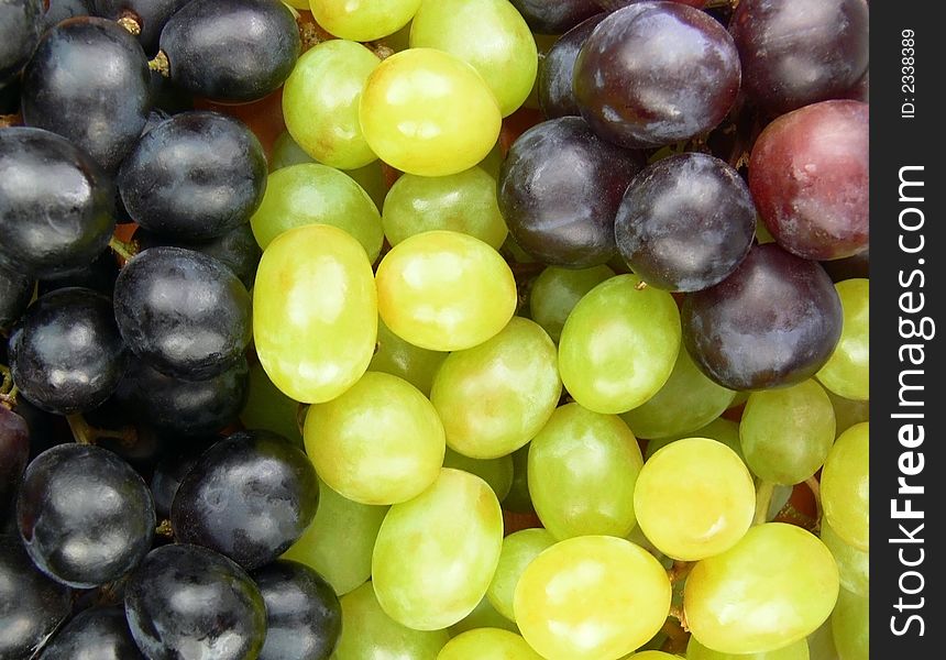 Set of different fresh grapes