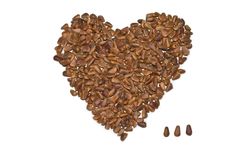 Nuts Pine Stock Photos Nuts Pine Stock Photos