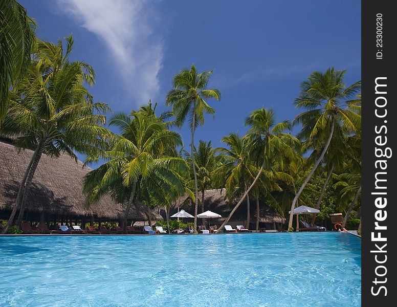 Blue swimming pool on the island of Maledives. Blue swimming pool on the island of Maledives