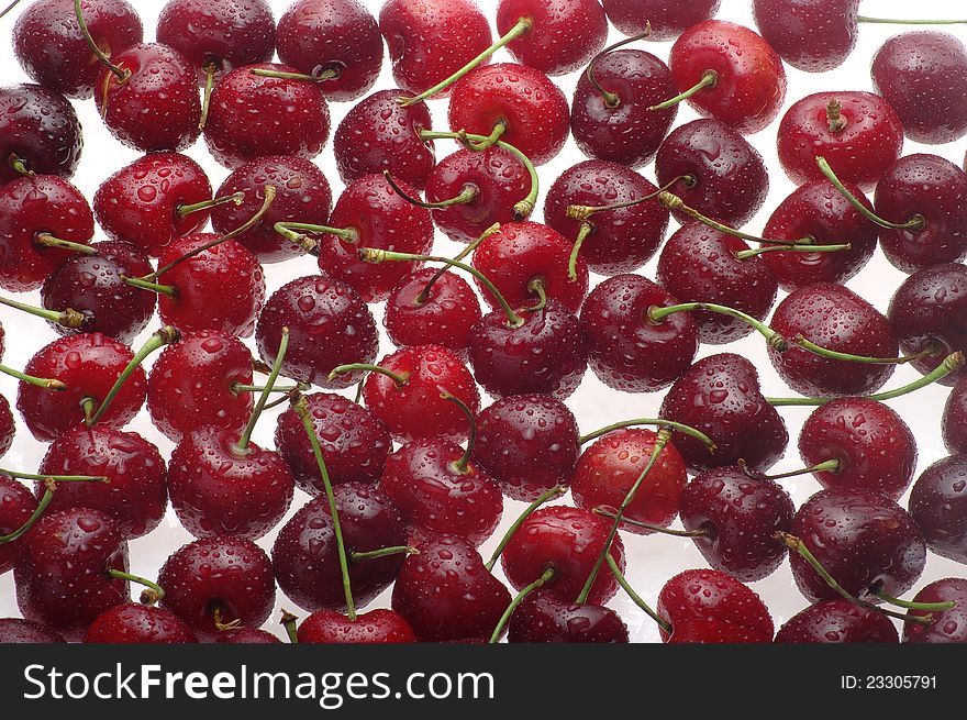 Group of wet cherries on white background. Group of wet cherries on white background