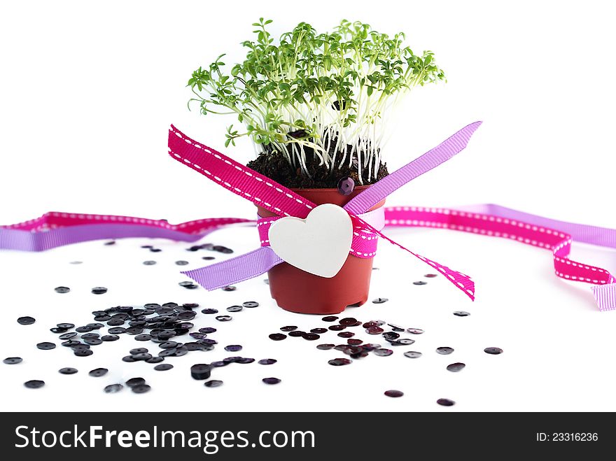 Pot with cress, ribbons, heart and sparkles - table decor. Pot with cress, ribbons, heart and sparkles - table decor