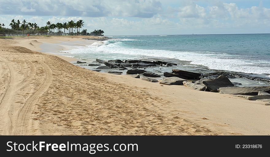 Exotic beach with palm trees on Oahu s south shore