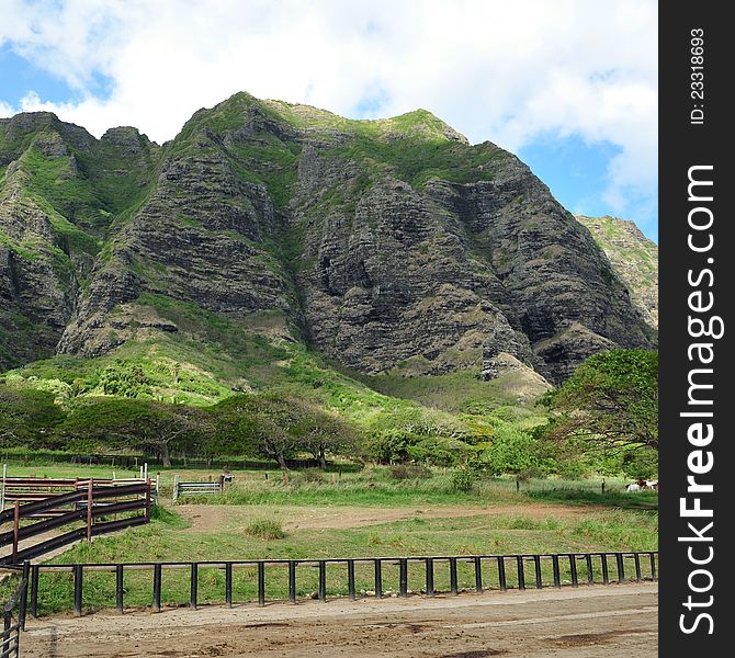 Movie scenes from kahana valley state park on Oahu windward side, January 2012