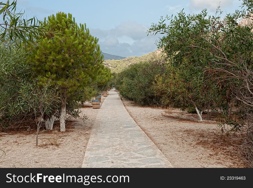 Oludeniz park