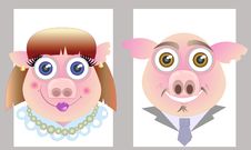 Two Pigs Royalty Free Stock Photography