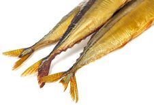 Smoked Saury Tails Stock Photography Smoked Saury Tails Stock Photography