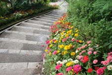 Beautiful Colourful Flower Garden Royalty Free Stock Image Beautiful Colourful Flower Garden Royalty Free Stock Image