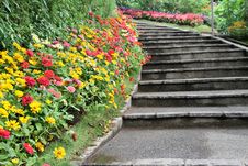 Beautiful Colourful Flower Garden Stock Photography Beautiful Colourful Flower Garden Stock Photography