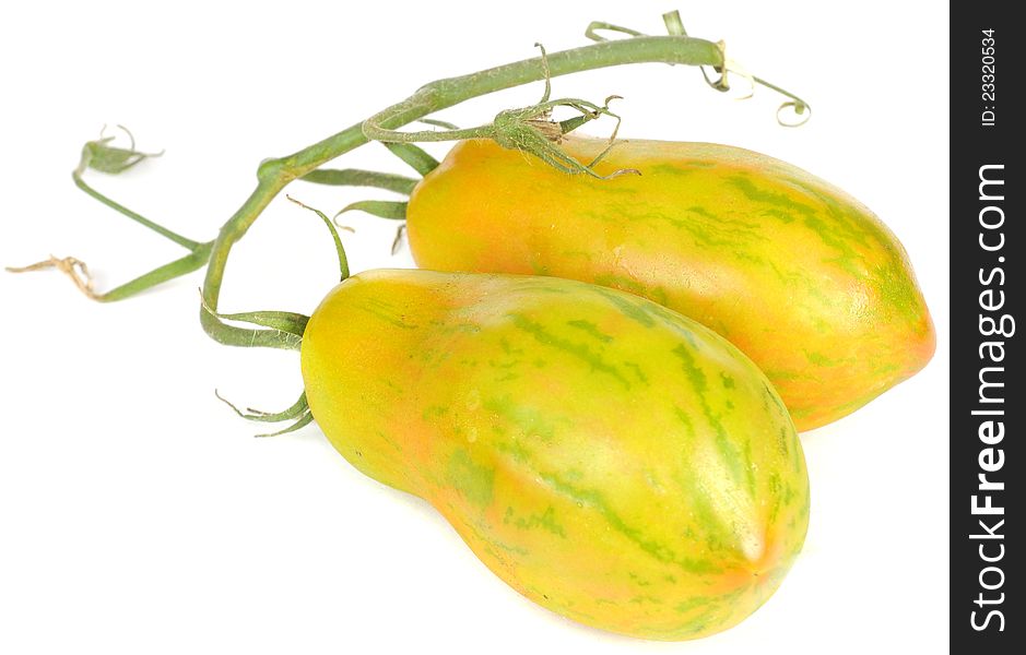 Two yellow plum tomatoes with green stripes on a branch isolated on a white background