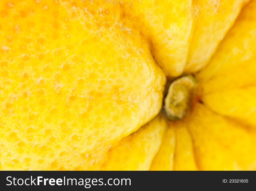 Close up of the citrus skin