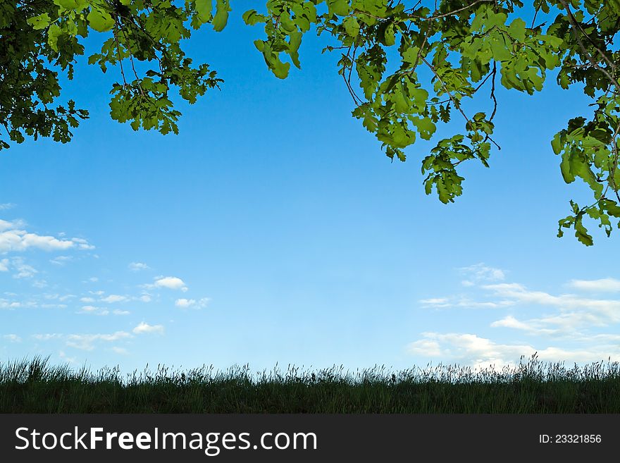Tree and grass silhouette frame. Tree and grass silhouette frame