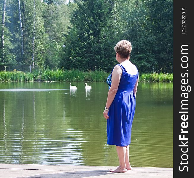 A woman watching as two swans swim by. A woman watching as two swans swim by