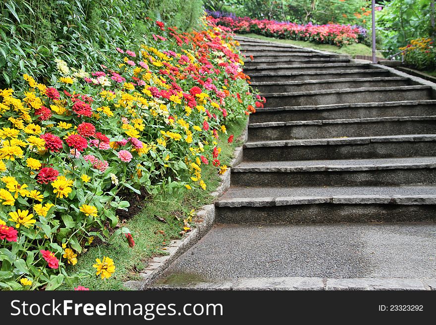 A beautiful view zinnia and other colurful flowers in garden path. A beautiful view zinnia and other colurful flowers in garden path.