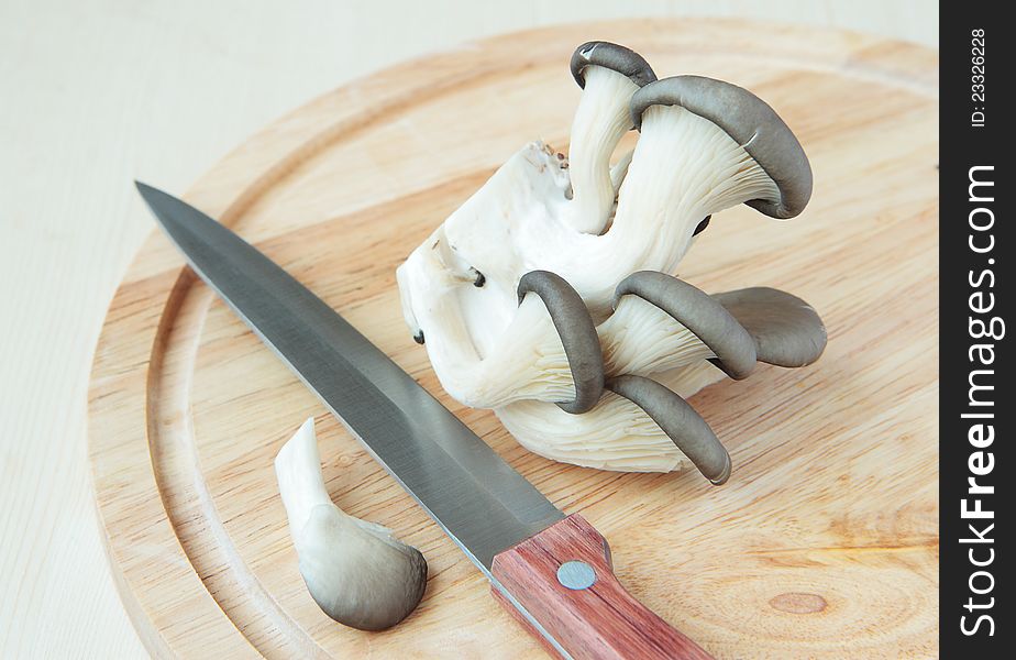 A bunch of oyster mushrooms and  knife