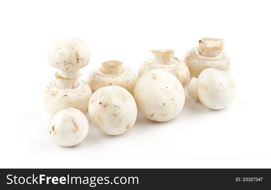 White Champignon Mushroom on white background