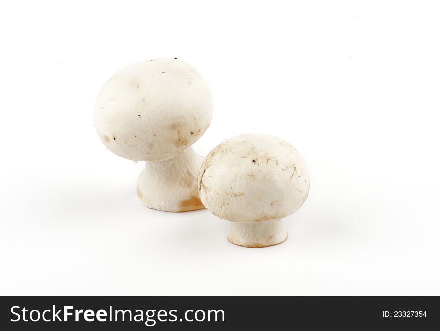 White Champignon Mushroom on white background