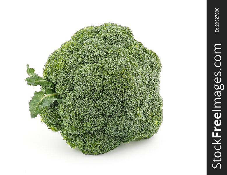 Single broccoli floret isolated on white background