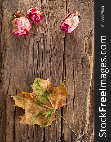 Dry roses and maple leaf on old wooden background with copy space