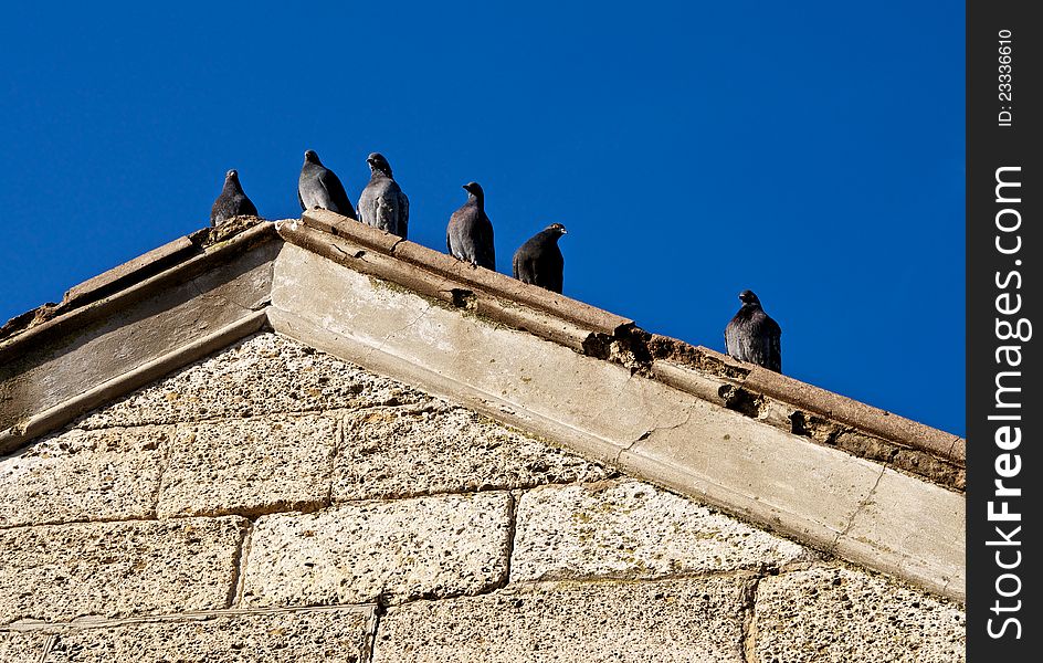 Pigeons staged gatherings, on the roof of the old stone building. The sun warmed the old stones, and now they produce heat. Pigeons staged gatherings, on the roof of the old stone building. The sun warmed the old stones, and now they produce heat.