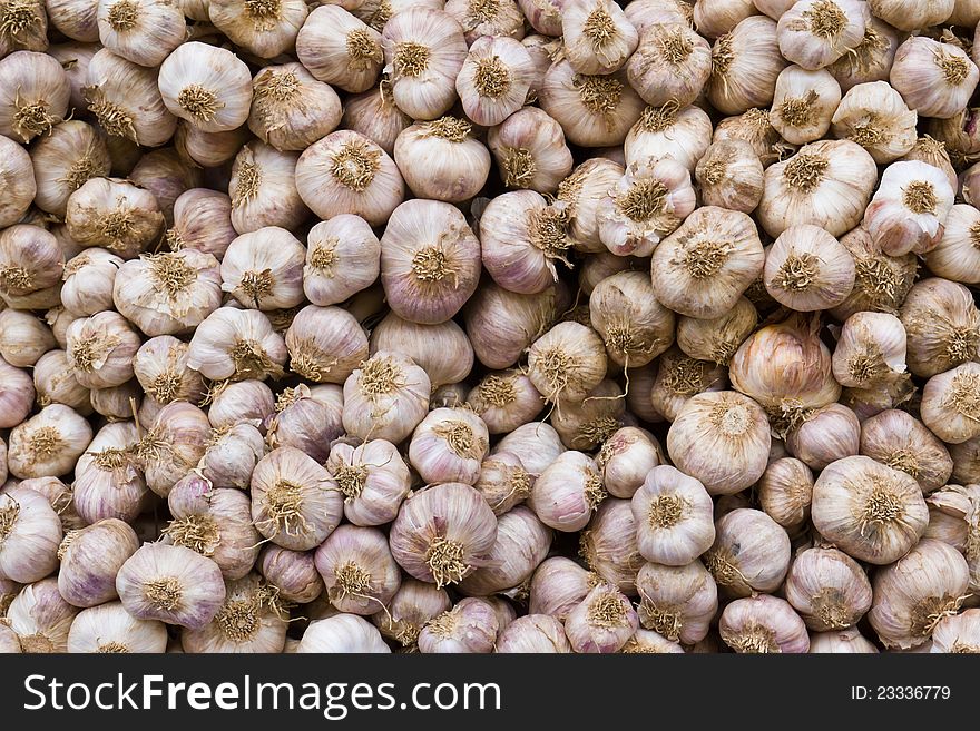 Garlic in market for sell