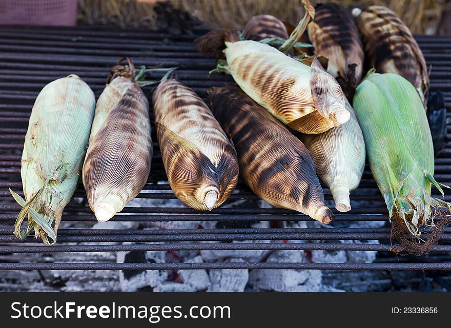 Roasted sweet corns on the grill. Roasted sweet corns on the grill