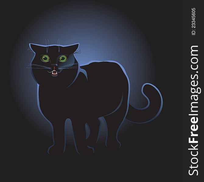 Black cat on black background