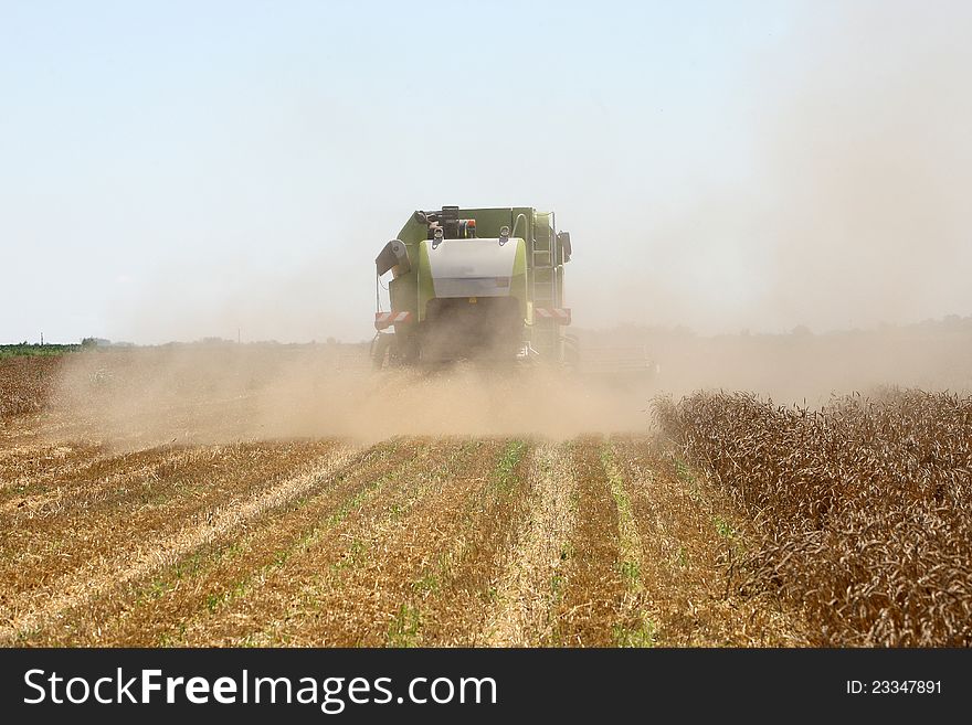 Combine harvester in field wheat