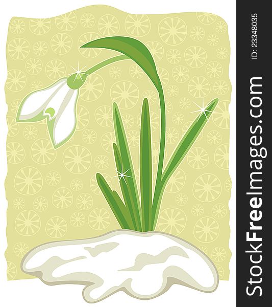 Snowdrop emerged from snow on decorative background