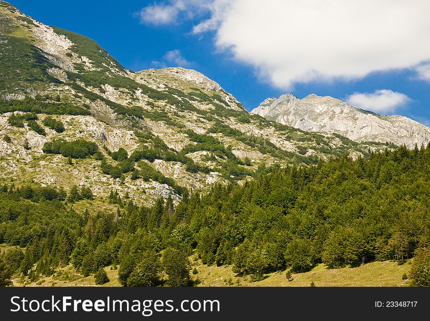 Mountain scenery, National park Durmitor