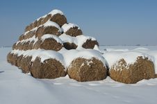 A Straw Is In The Snow-bound Field Royalty Free Stock Images A Straw Is In The Snow-bound Field Royalty Free Stock Images