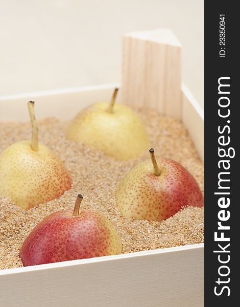 Asian pears in a box filled with sand