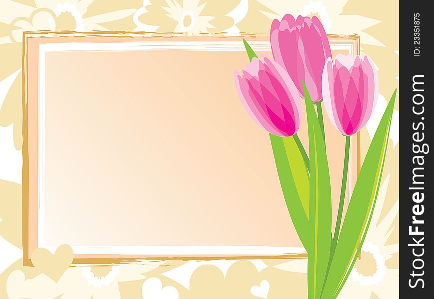 Festive card with pink tulips. Vector illustration.