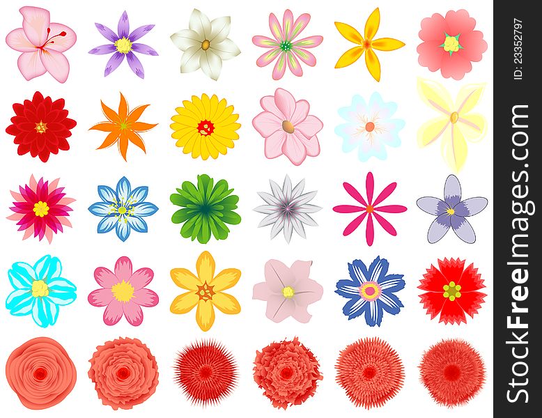 A collection of vector flowers for the design. A collection of vector flowers for the design.