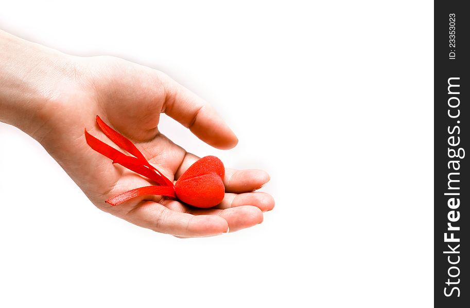 Female's  hand holding a red heart. Female's  hand holding a red heart