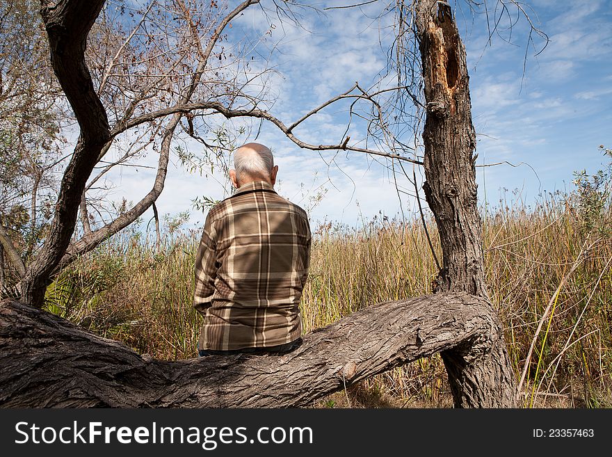 Lonely old man sitting on tree and looking at the landscape. Lonely old man sitting on tree and looking at the landscape