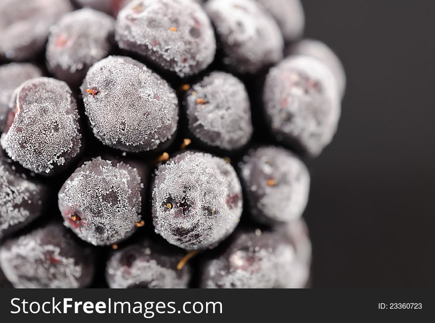 A close-up of a frozen blackberry on a black background. A close-up of a frozen blackberry on a black background