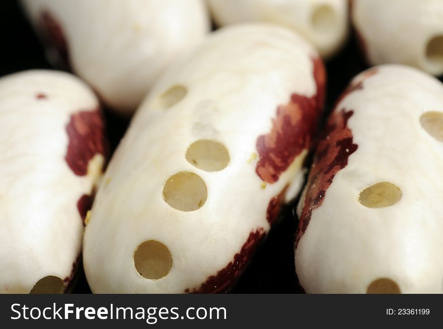 Kidney beans with holes eaten by bugs close-up. Kidney beans with holes eaten by bugs close-up