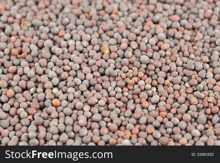 A close-up shot of black mustard seeds. A close-up shot of black mustard seeds