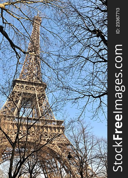 Overview of the Eiffel Tower through tree branches. Overview of the Eiffel Tower through tree branches