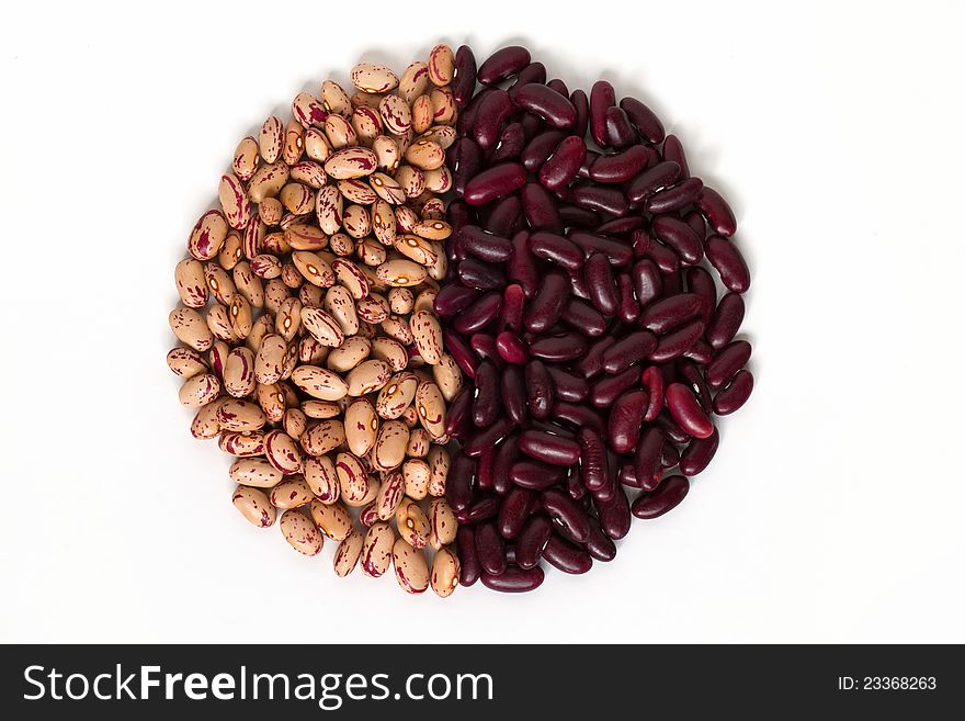 Common Beans