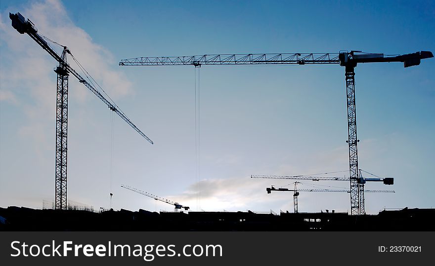 Group Of Cranes At Thesunset