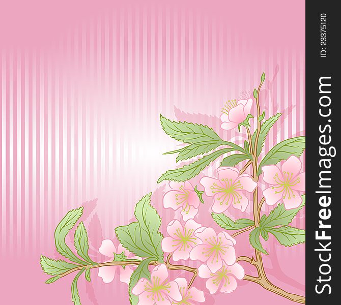 Vector illustration with cherry blossom for greeting card. Vector illustration with cherry blossom for greeting card.