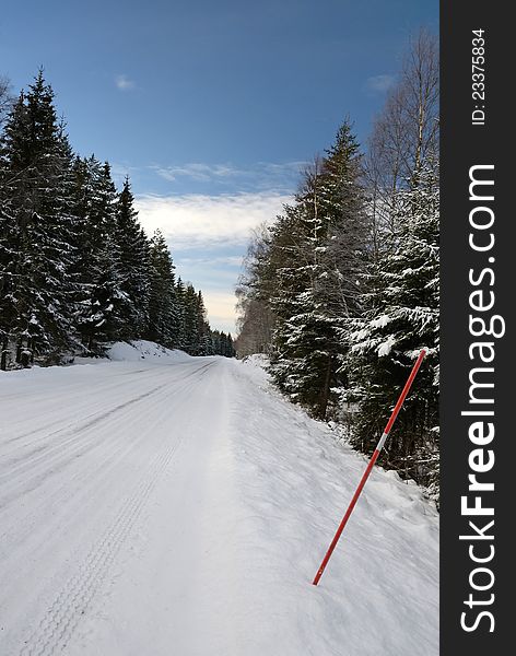 Winter vertical landscape for Swedish road. Winter vertical landscape for Swedish road