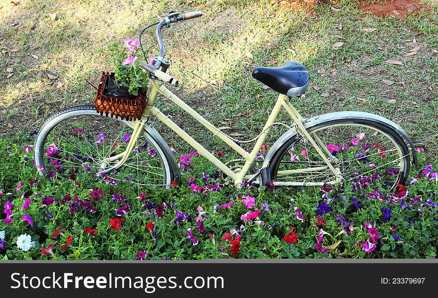 Old bicycle with flowers in the front basket,parked in the garden