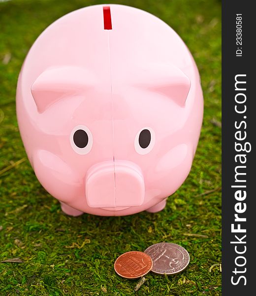 A piggy bank out in the green grass grazing for coinage and savings. Quarters, pennies and dimes are on the menu for this hungry savings pig. A piggy bank out in the green grass grazing for coinage and savings. Quarters, pennies and dimes are on the menu for this hungry savings pig.