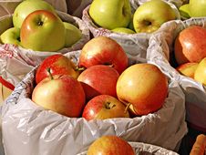 Baskets Of Apples Stock Image Baskets Of Apples Stock Image